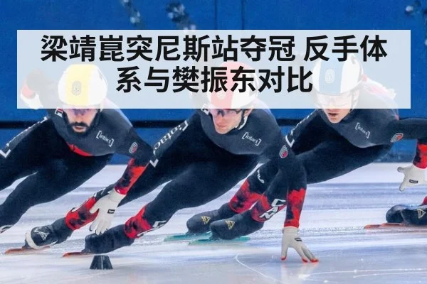 梁靖崑突尼斯站夺冠 反手体系与樊振东对比